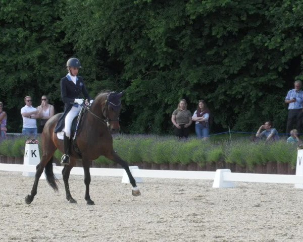 Reitturnier Lindlar - Reitanlage Dückers 2022