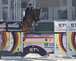 jumper Cote de Pablo (Oldenburg show jumper, 2012, from Chaccos' Son)