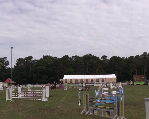 Reitturnier Wörmlitz 2022