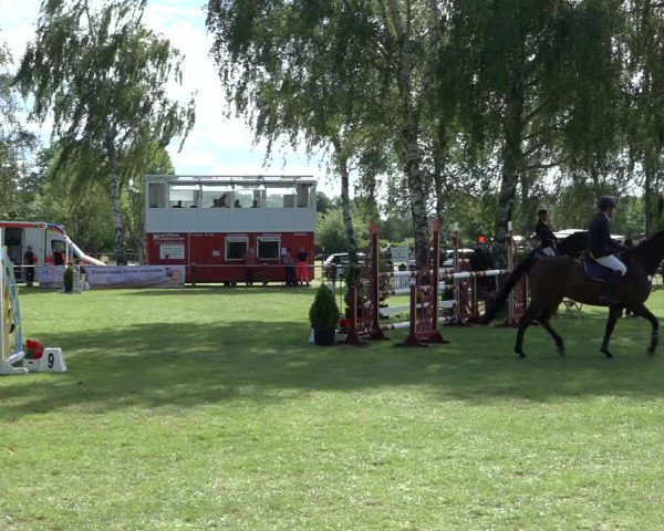 Reitturnier Hille 2022