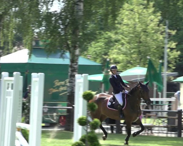 Reitturnier Hille 2022