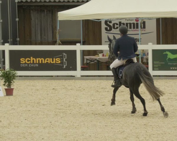 Springturnier Memmingen 2021