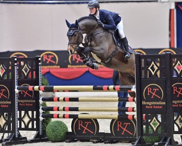 stallion Sandro Junior (Holsteiner, 2015, from Sandro Boy)