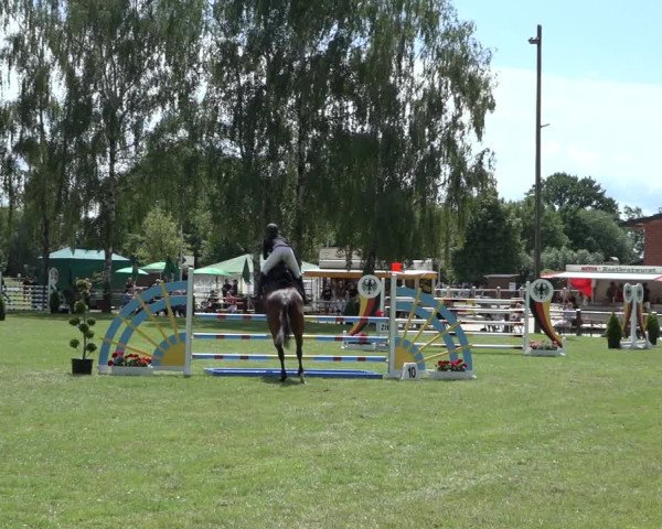 Reitturnier Hille 2022
