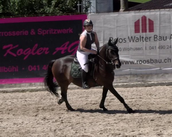Reitturnier Ruswil 2022