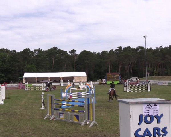 Reitturnier Wörmlitz 2022