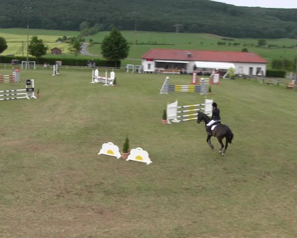 Reitturnier Wingerode 2022