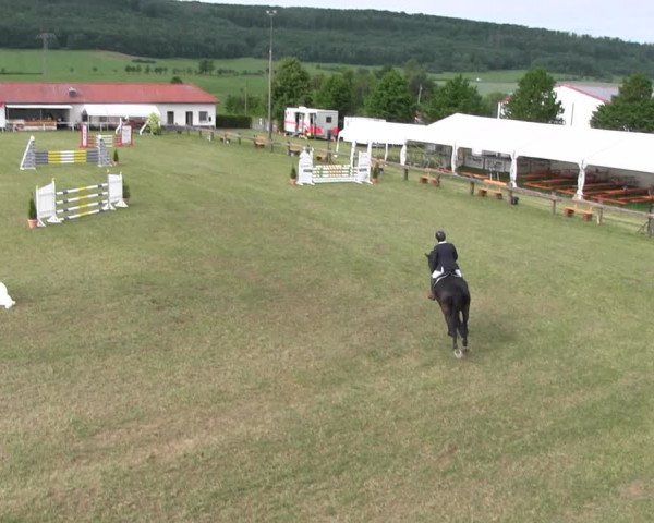 Reitturnier Wingerode 2022