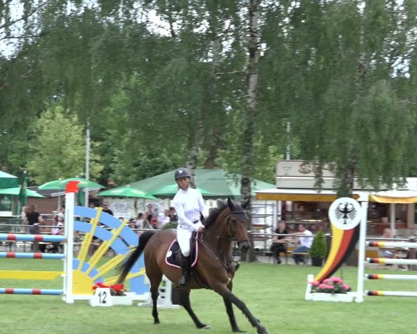 Reitturnier Hille 2022