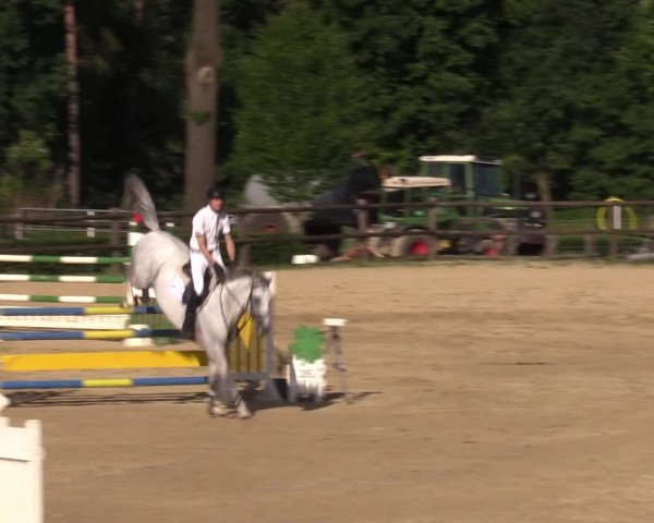 Reitturnier Reken 2022