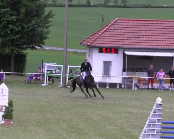 Reitturnier Wingerode 2022