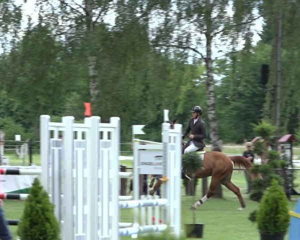 Reitturnier Hille 2022
