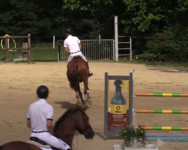 Reitturnier Reken 2022