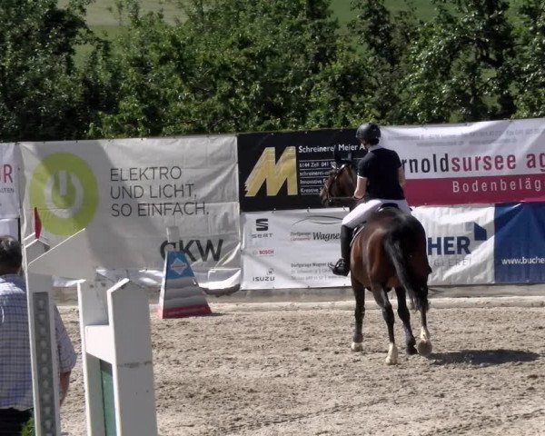 Reitturnier Ruswil 2022