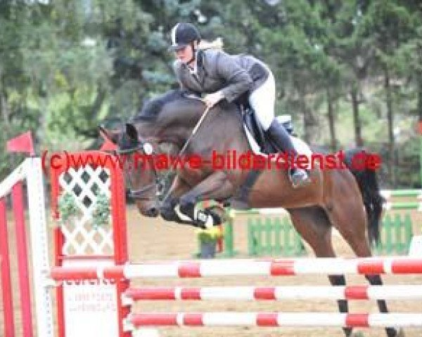 broodmare Cybell (Rhinelander, 2003, from Co-Pilot)
