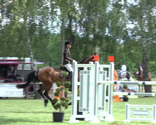 Reitturnier Hille 2022