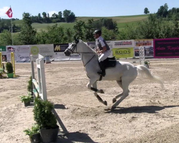 Reitturnier Ruswil 2022