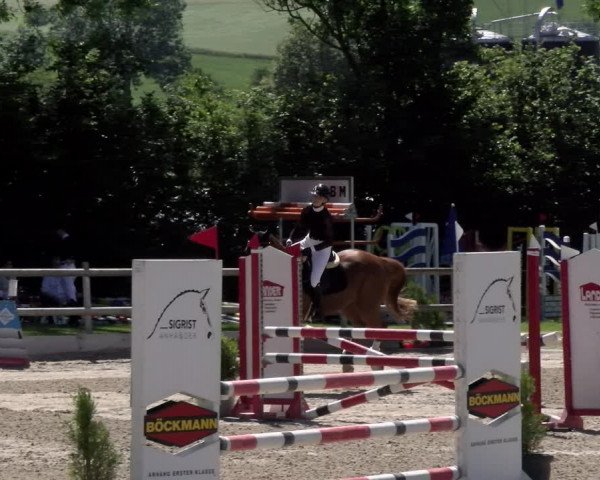 Reitturnier Ruswil 2022