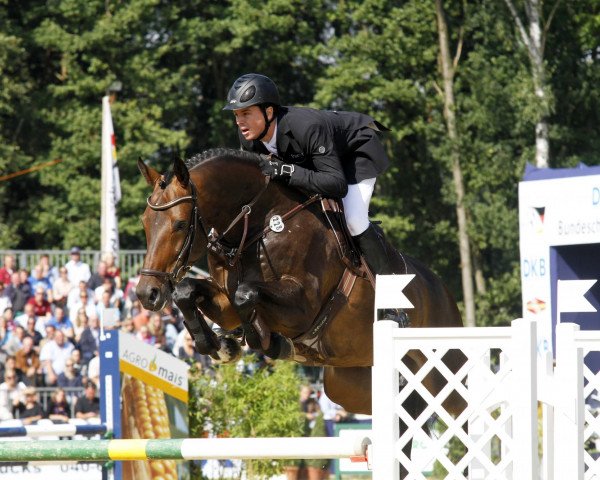 jumper Cristobar (Westphalian, 2007, from Cristallo I)