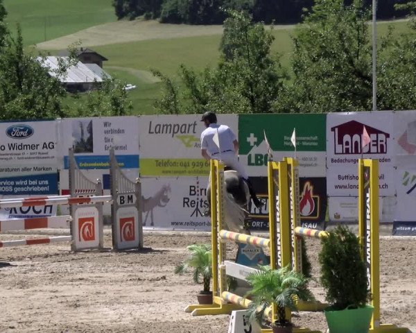 Reitturnier Ruswil 2022