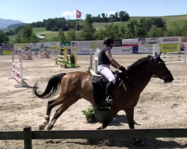Reitturnier Ruswil 2022