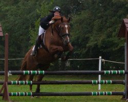 broodmare Eyla (German Sport Horse, 2006, from Harlem Go)