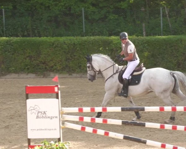 Reitturnier Böblingen 2022