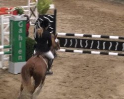 jumper Gina-Latoya (German Riding Pony, 2002, from FS Golden Highlight)