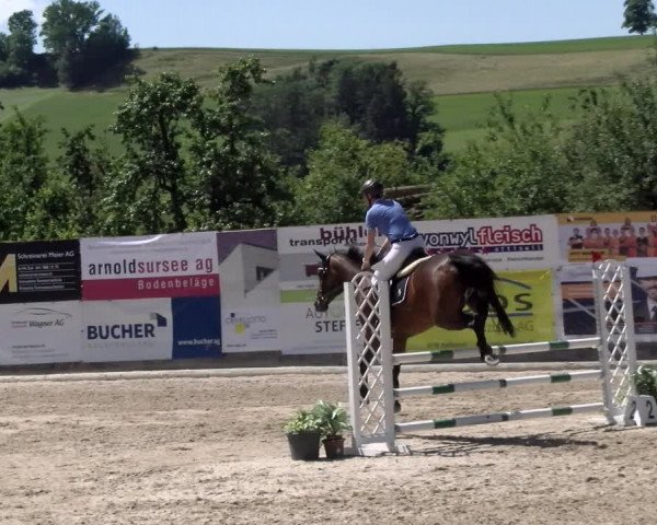 Reitturnier Ruswil 2022