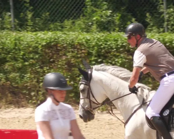 Reitturnier Böblingen 2022