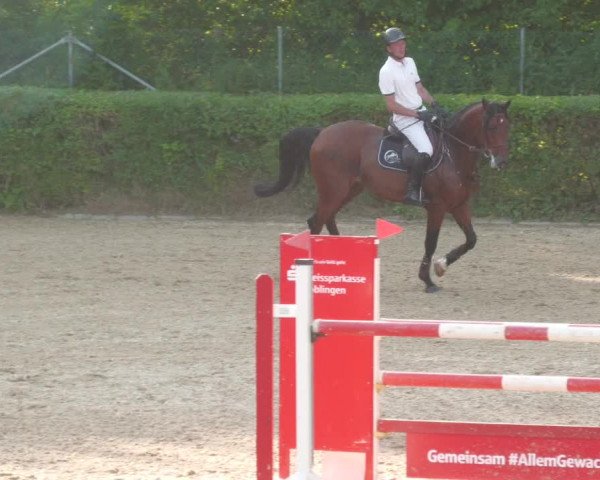 Reitturnier Böblingen 2022