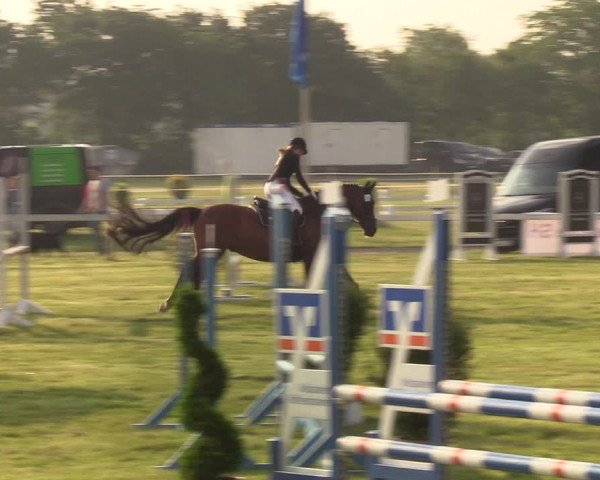 Reitturnier Rendsburg 2022