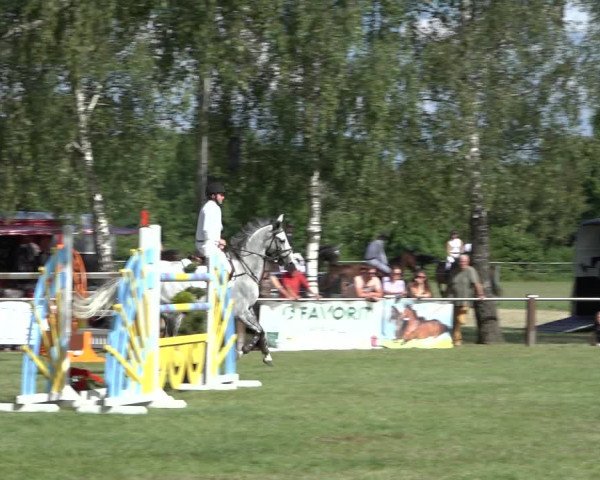 Reitturnier Hille 2022