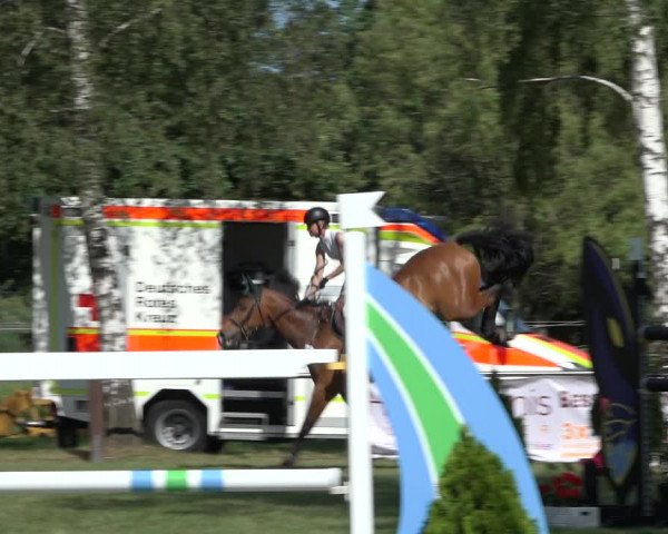 Reitturnier Hille 2022