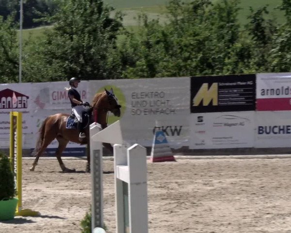 Reitturnier Ruswil 2022