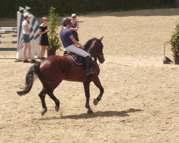 Reitturnier Böblingen 2022