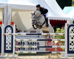 Cavallo da salto FBW Cristallos Lady (Württemberger, 2007, di Cristallo I)
