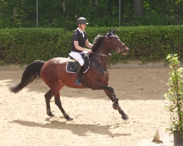 Reitturnier Böblingen 2022