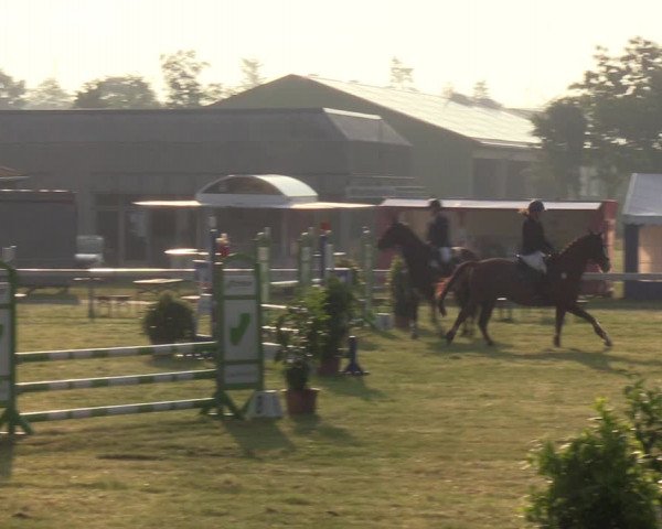 Reitturnier Rendsburg 2022