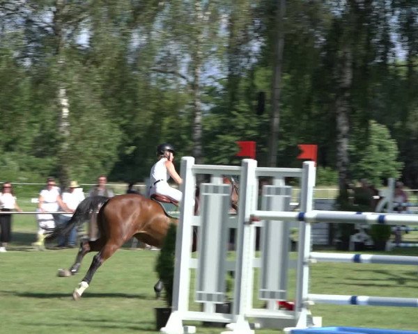 Reitturnier Hille 2022