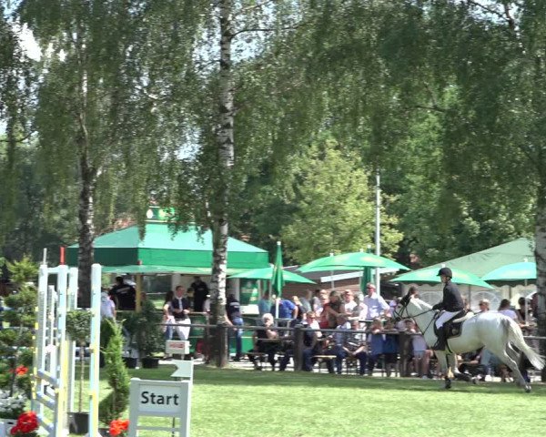 Reitturnier Hille 2022