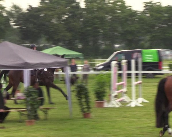Reitturnier Rendsburg 2022