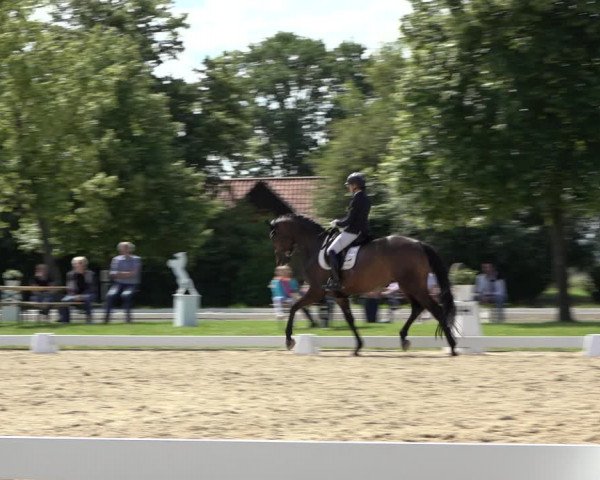 Reitturnier Hille 2022