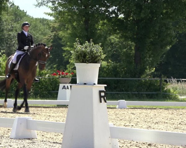 Reitturnier Hille 2022