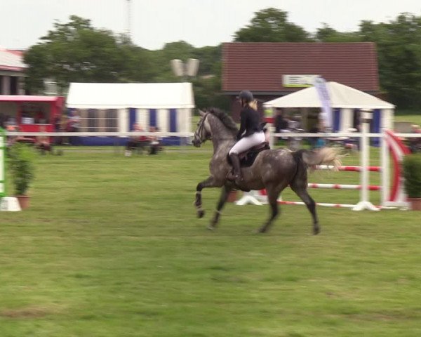 Reitturnier Rendsburg 2022