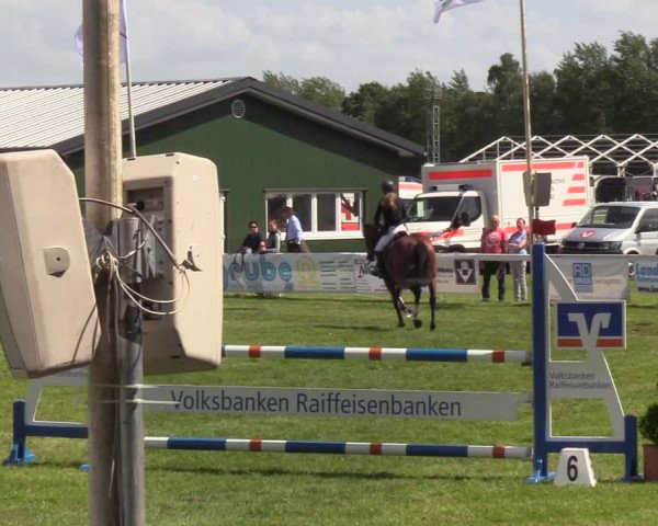 Reitturnier Rendsburg 2022