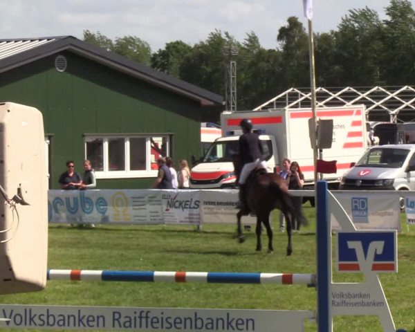 Reitturnier Rendsburg 2022