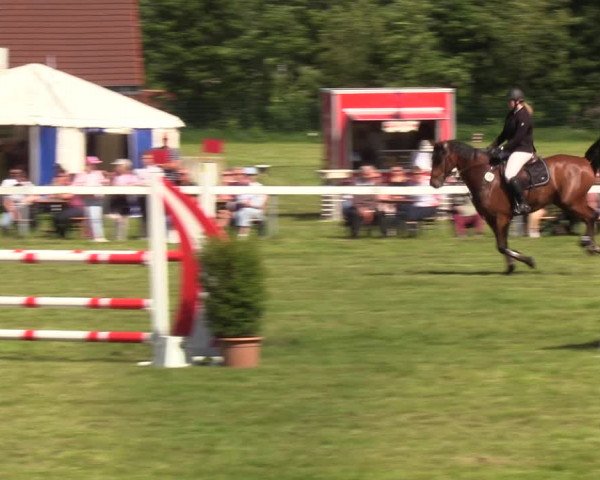 Reitturnier Rendsburg 2022