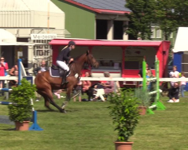 Reitturnier Rendsburg 2022