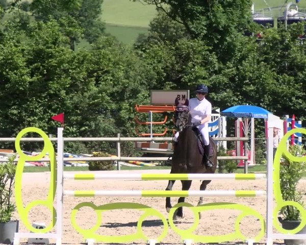 Reitturnier Ruswil 2022